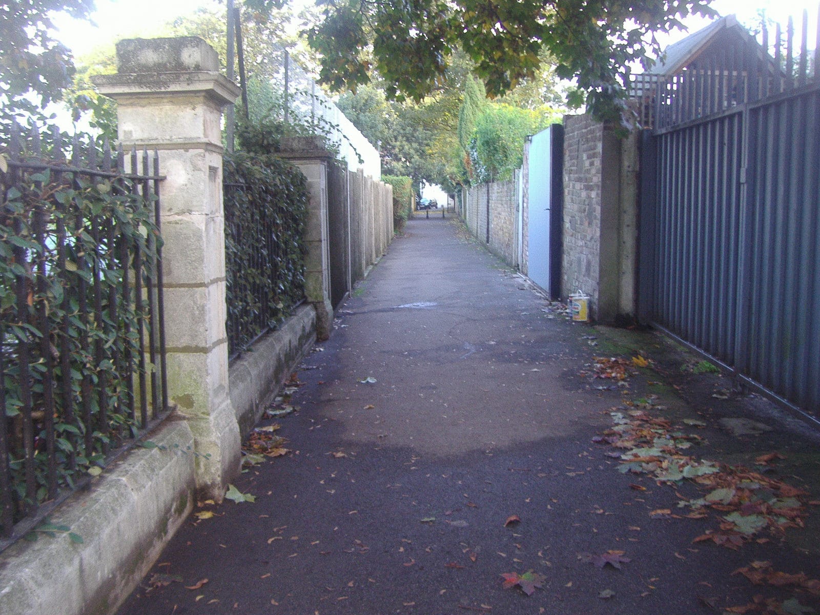 The Willow Cafe photo 5
