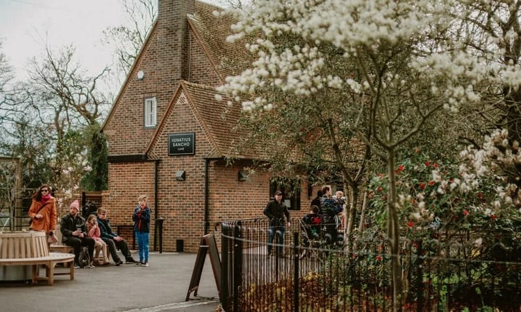 Ignatius Sancho Café photo 9