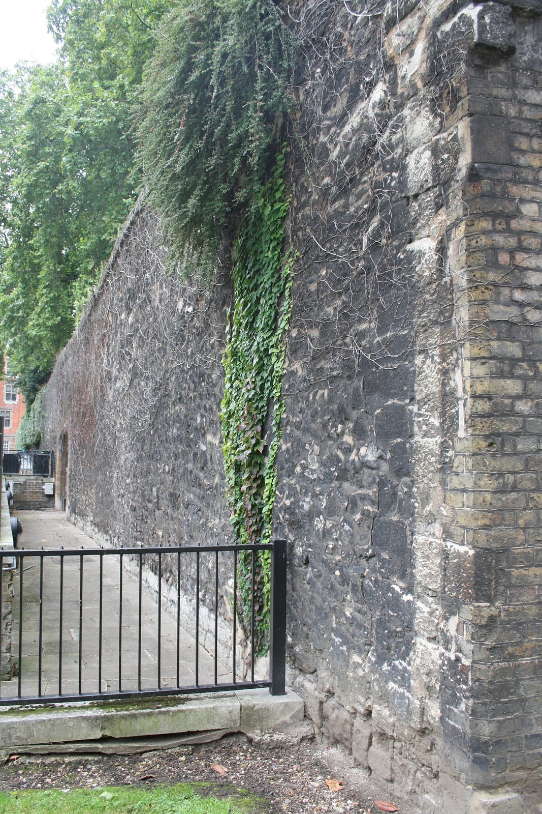 Jewel Tower Cafe photo 4