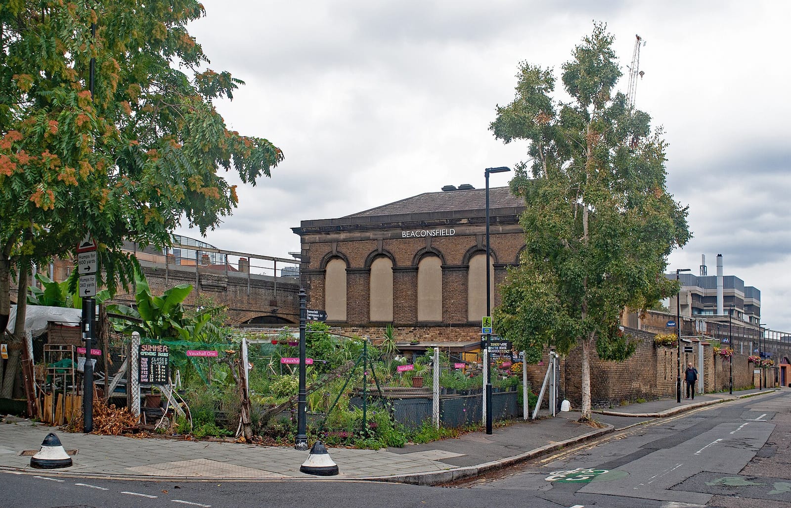 The Queens Head photo 2