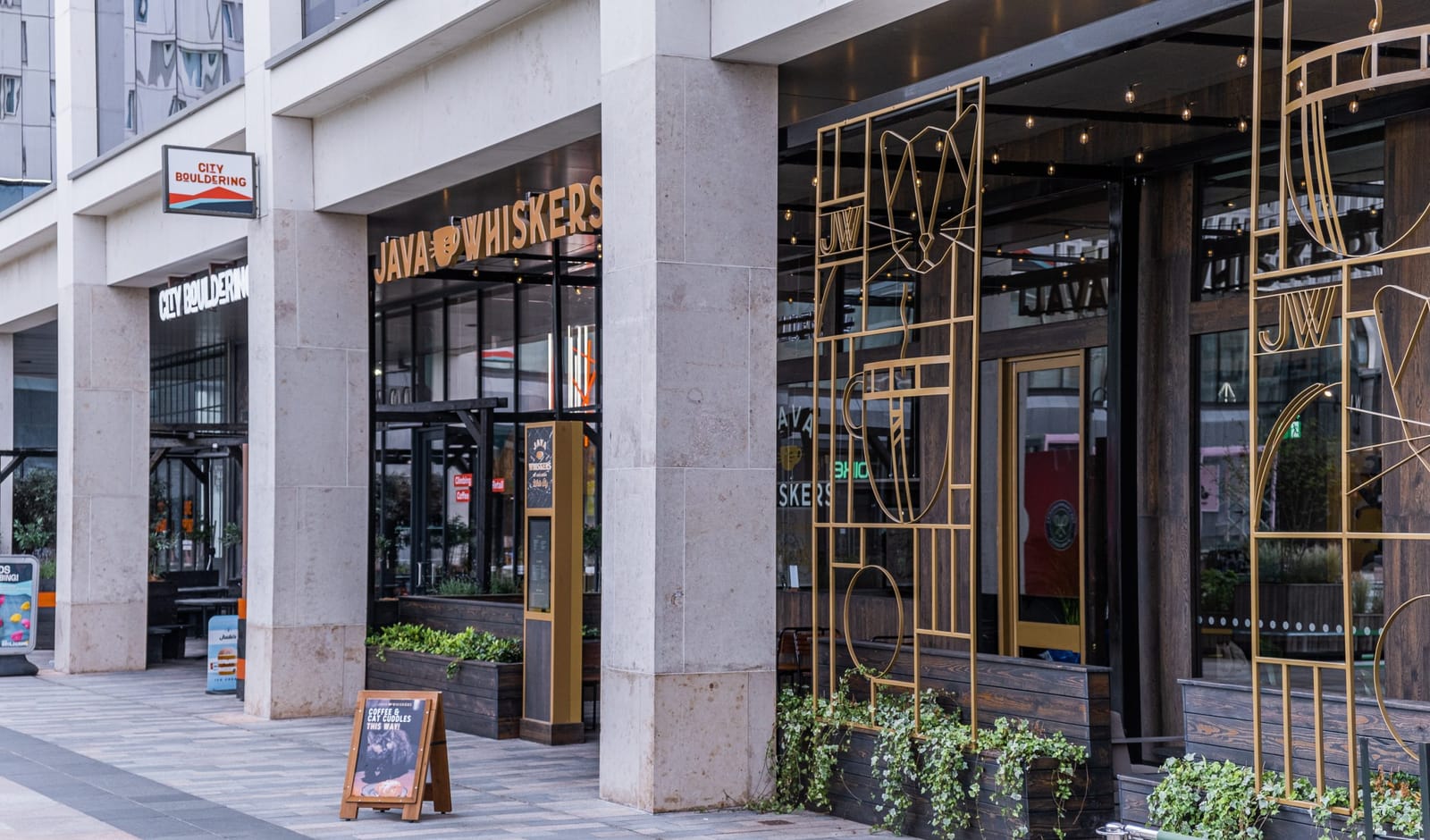 Java Whiskers Cat Café White City photo 2