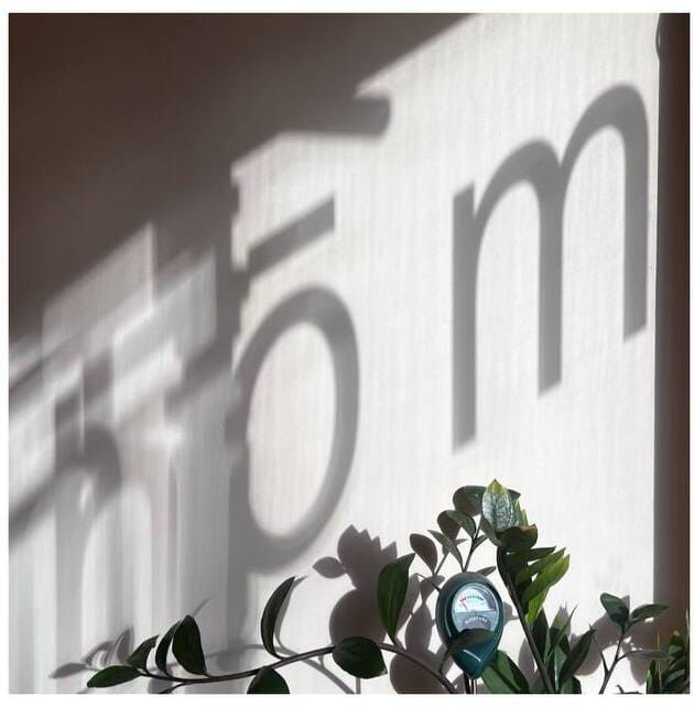 hōm photo 2