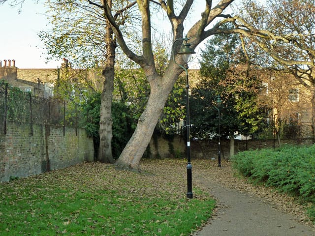 N°N° photo 3