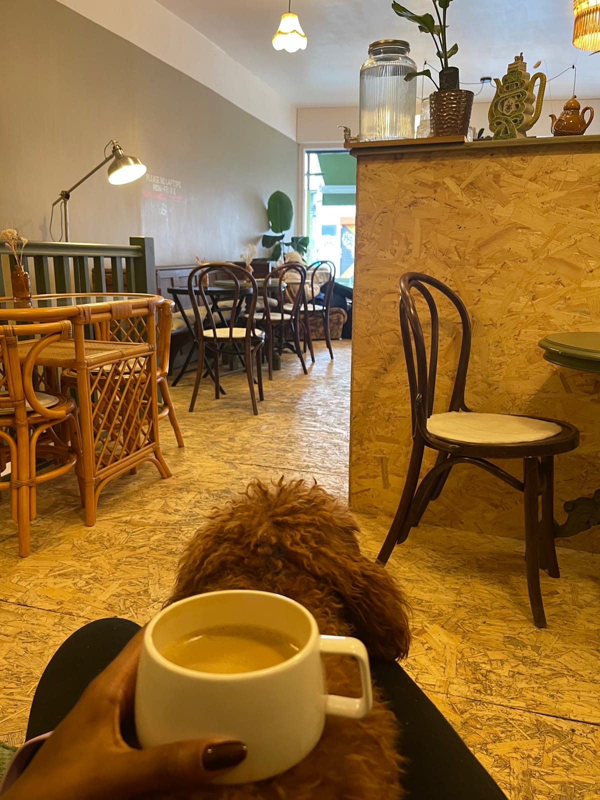 Viv's Coffee