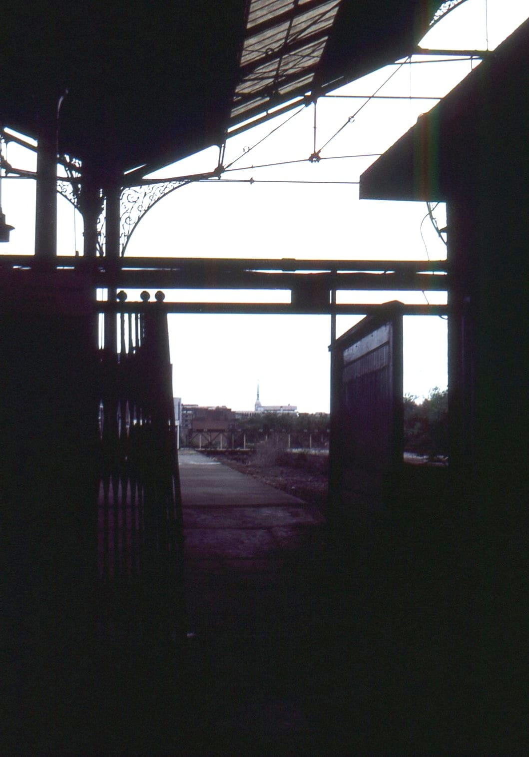 BloomsYard photo 4