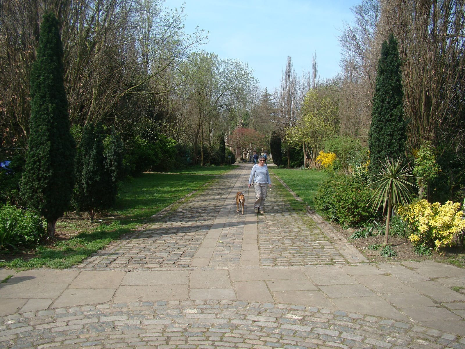 Abney Park Cafe photo 5