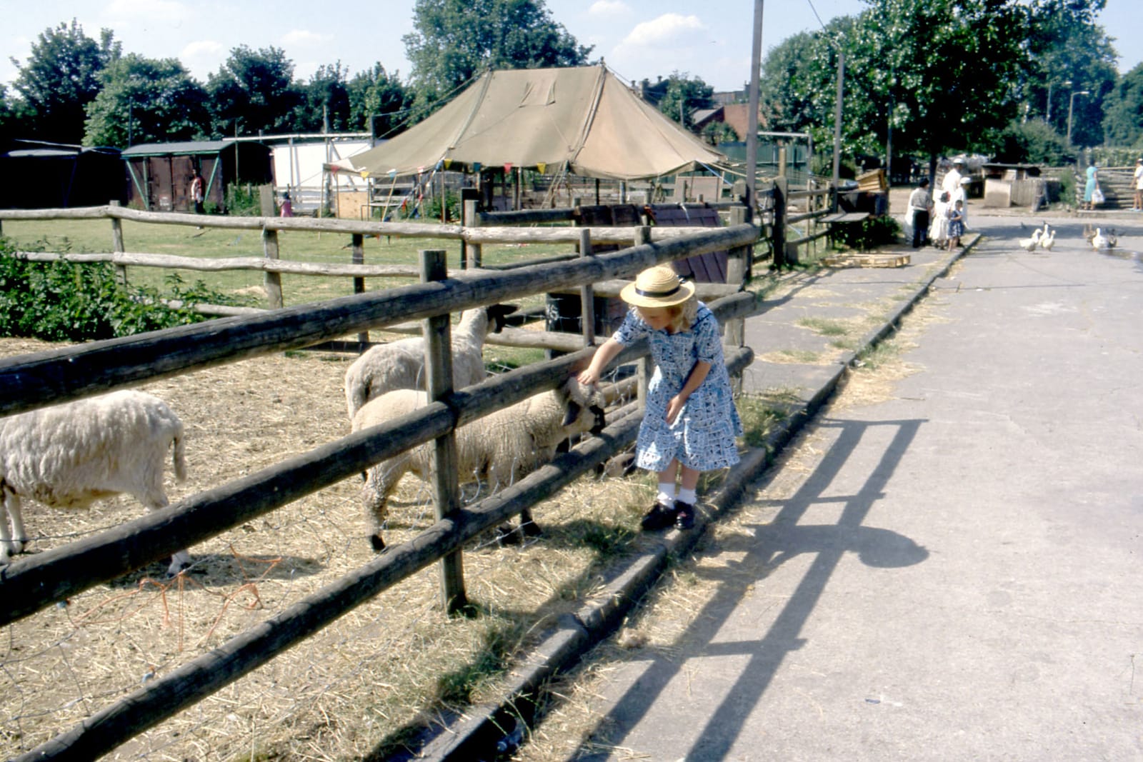 Stepney's photo 2