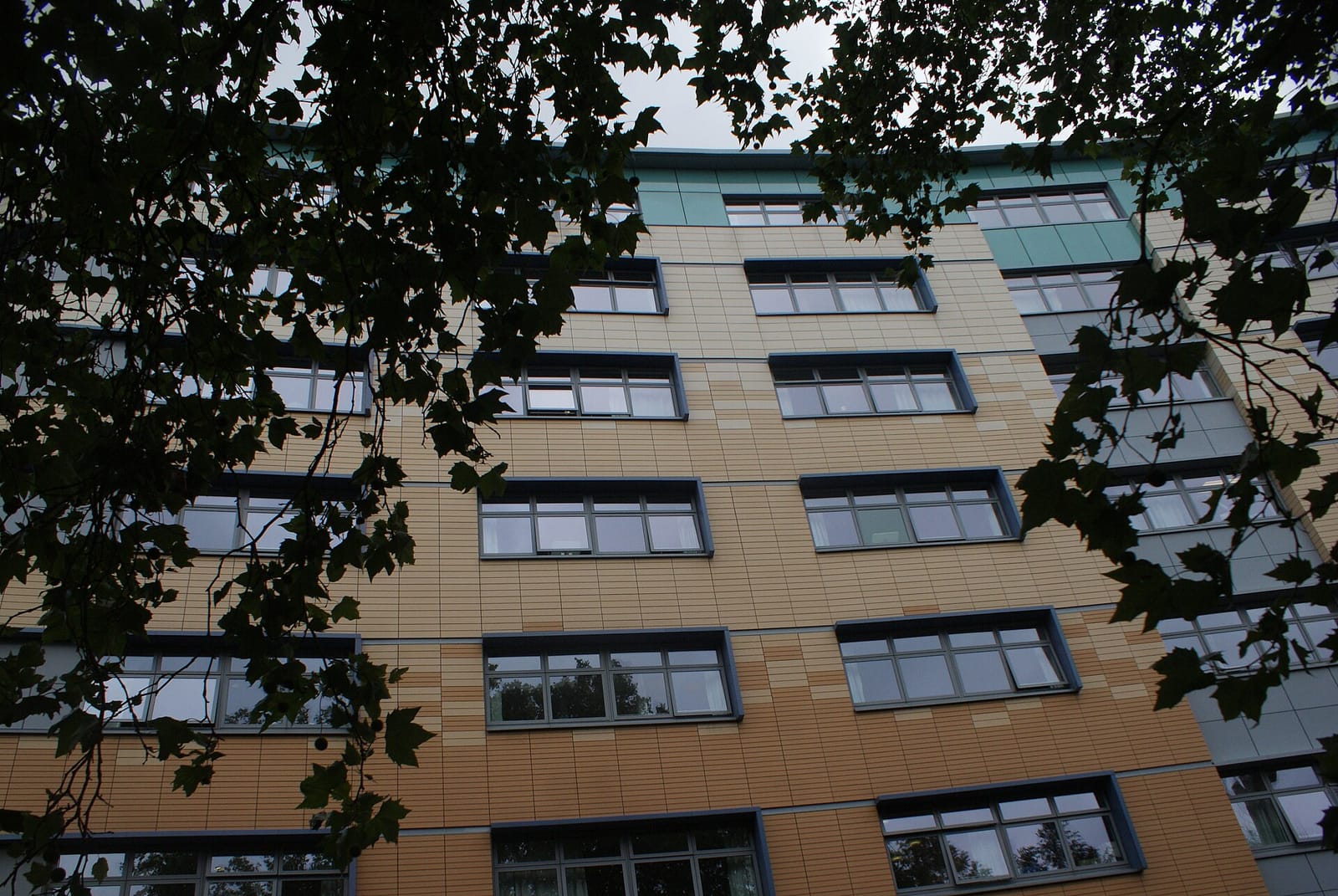 Gaff photo 3