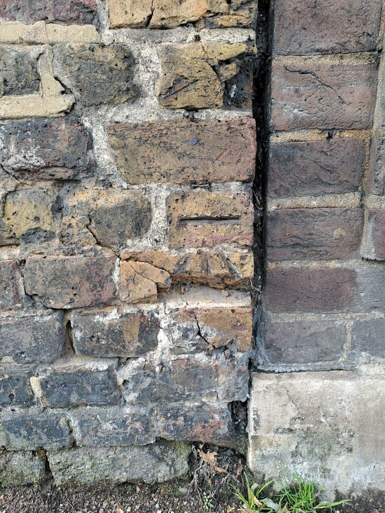 Fig Tree Cafe photo 4