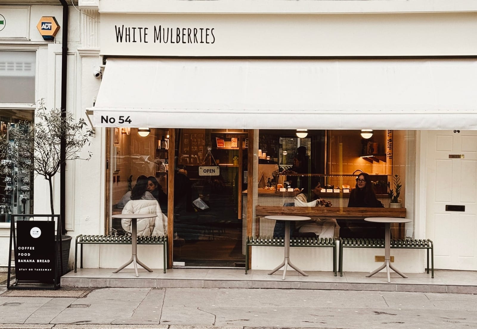 White Mulberries photo 3