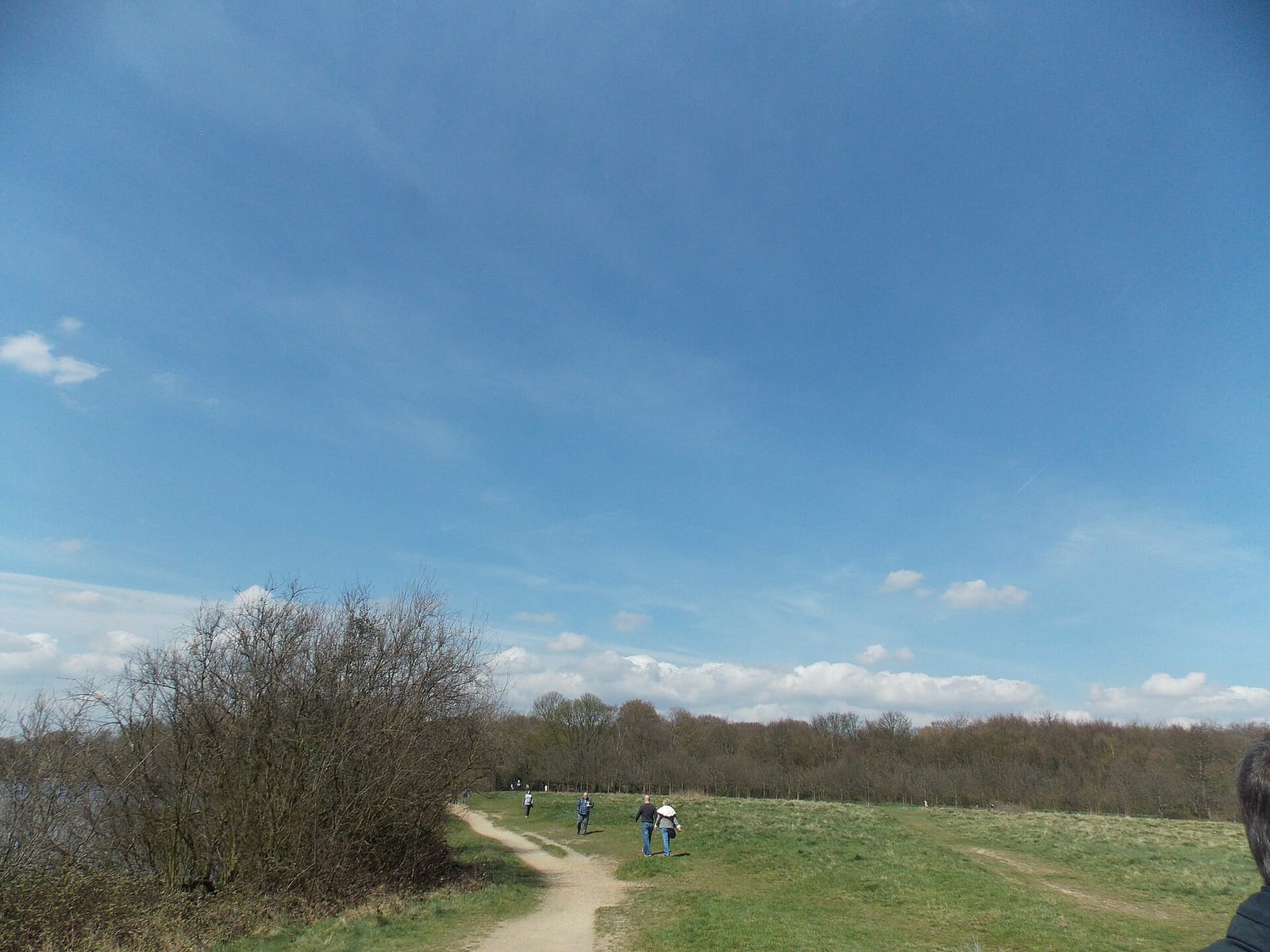 Wanstead Tea Hut photo 4