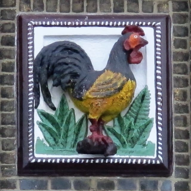 Pulse & Pickle photo 4