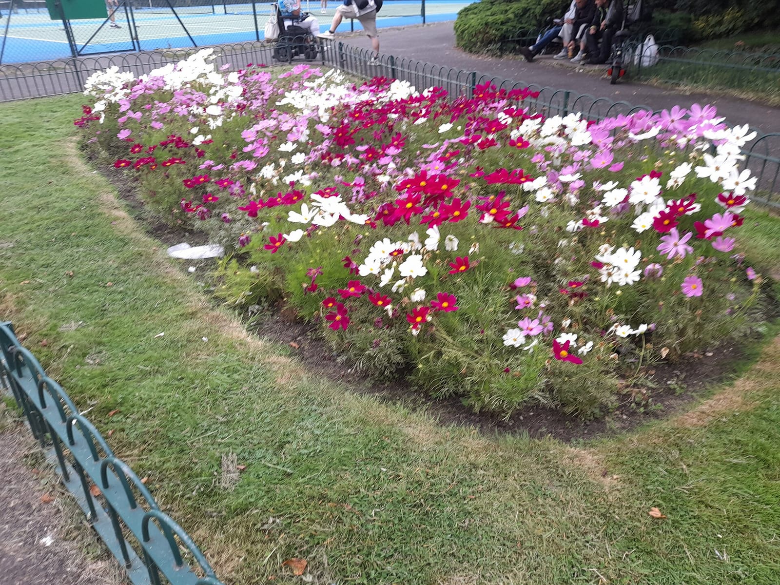 Hendon Park Cafe photo 3
