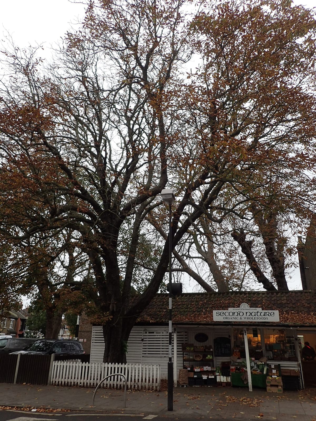 Wood Street Cafe photo 5
