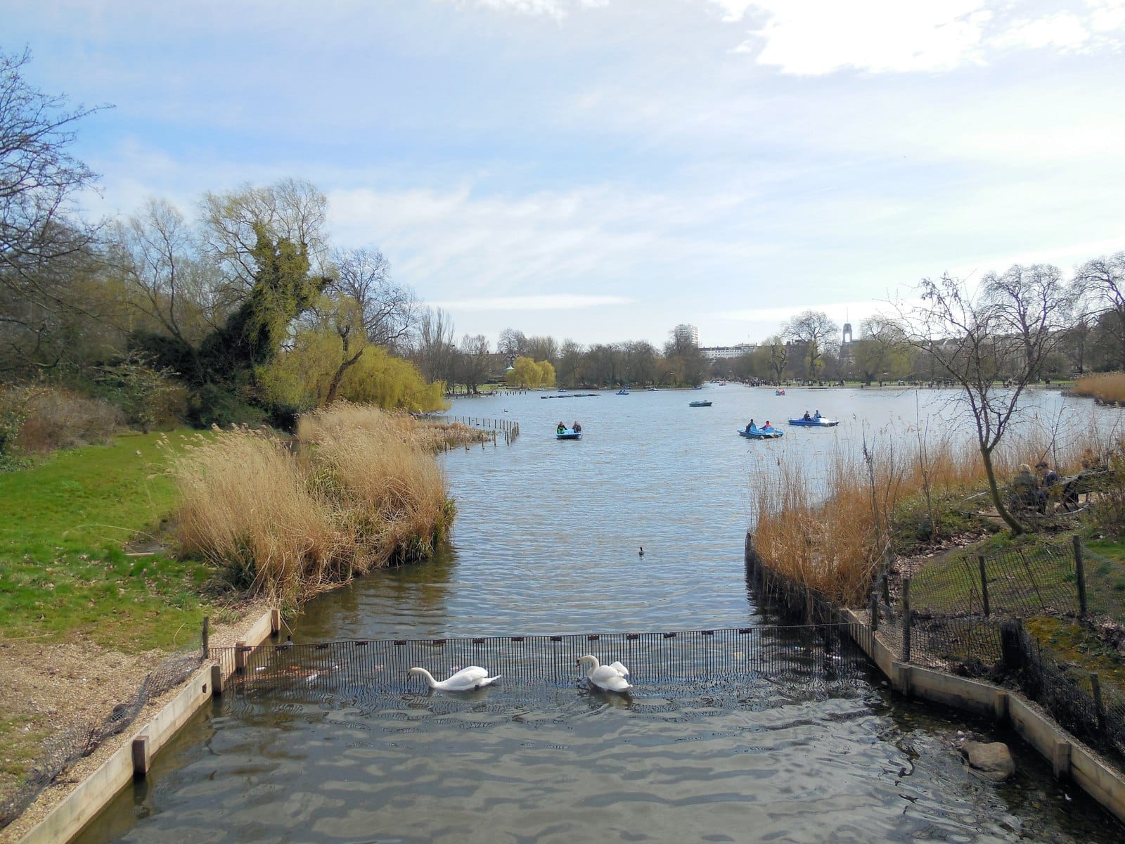 The Waterside Café photo 4