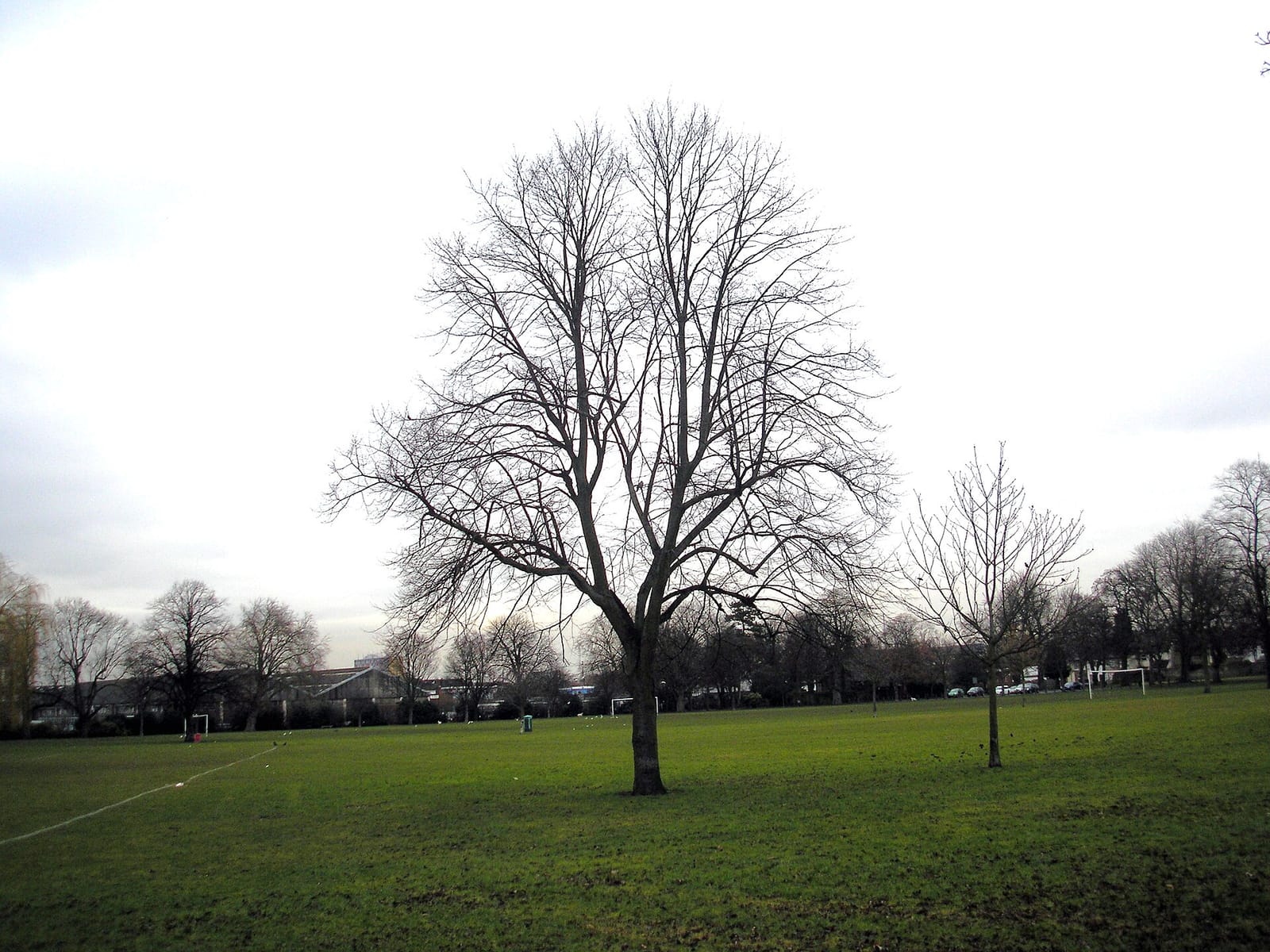 Wandle Park Cafe photo 4