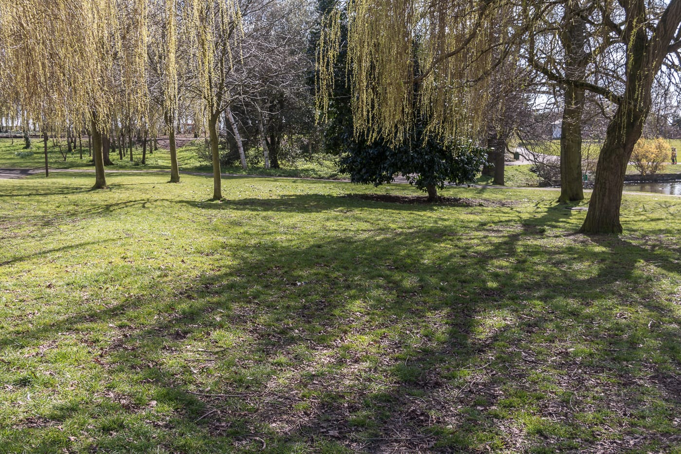 Community Cafe photo 4