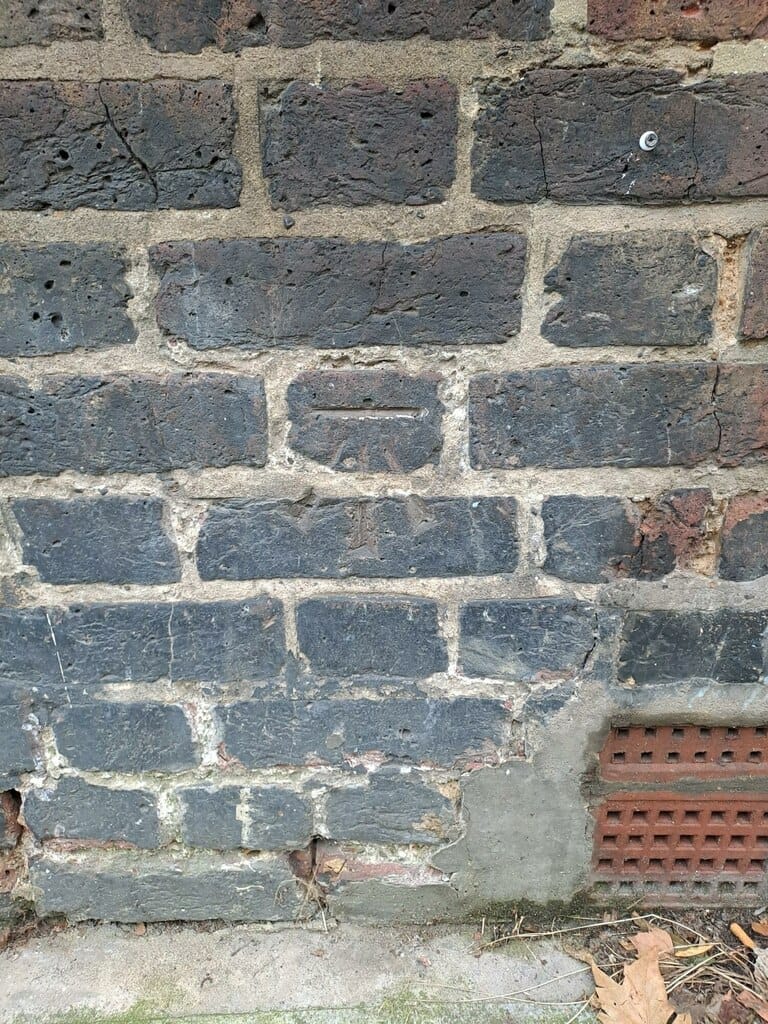 Cafe Terrace photo 4