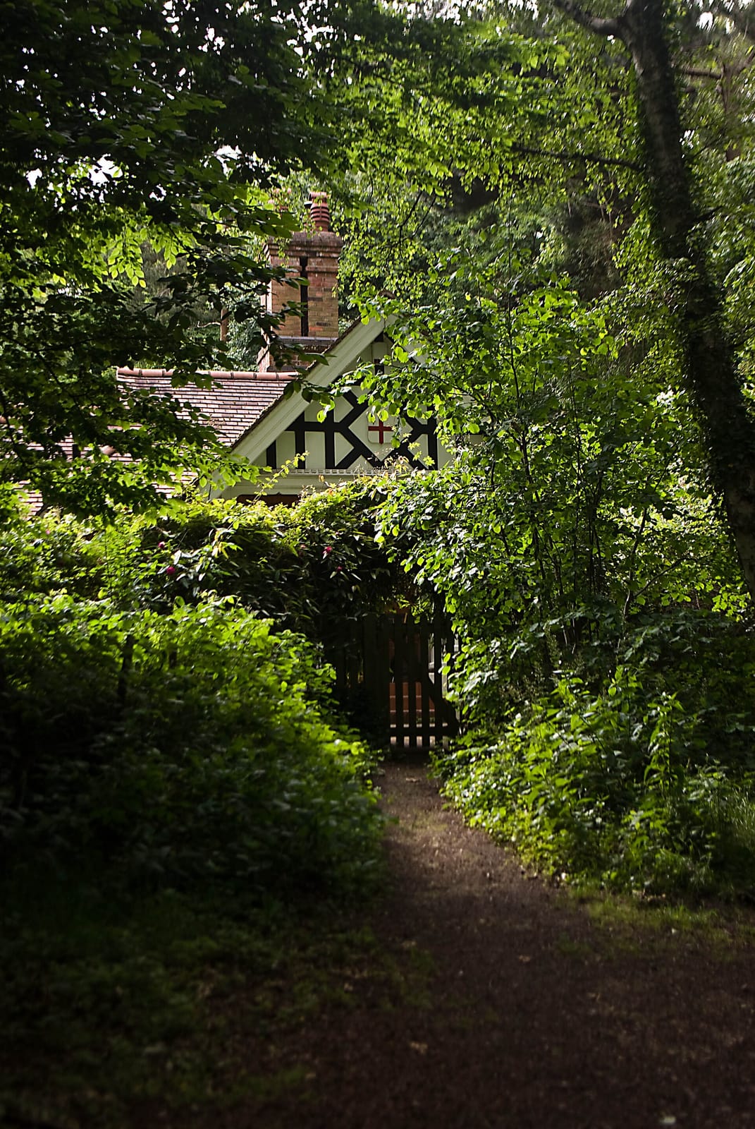 Queen's Wood Café photo 3