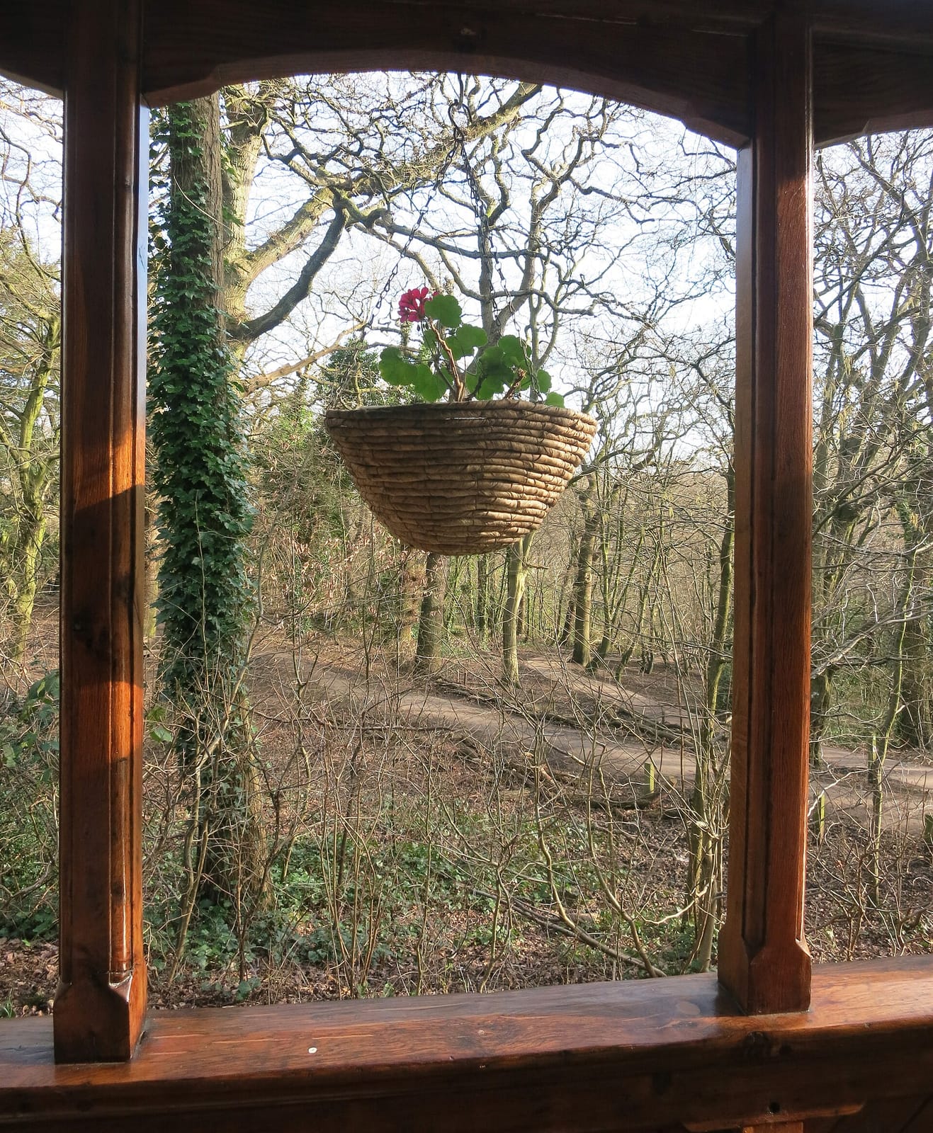 Queen's Wood Café photo 2