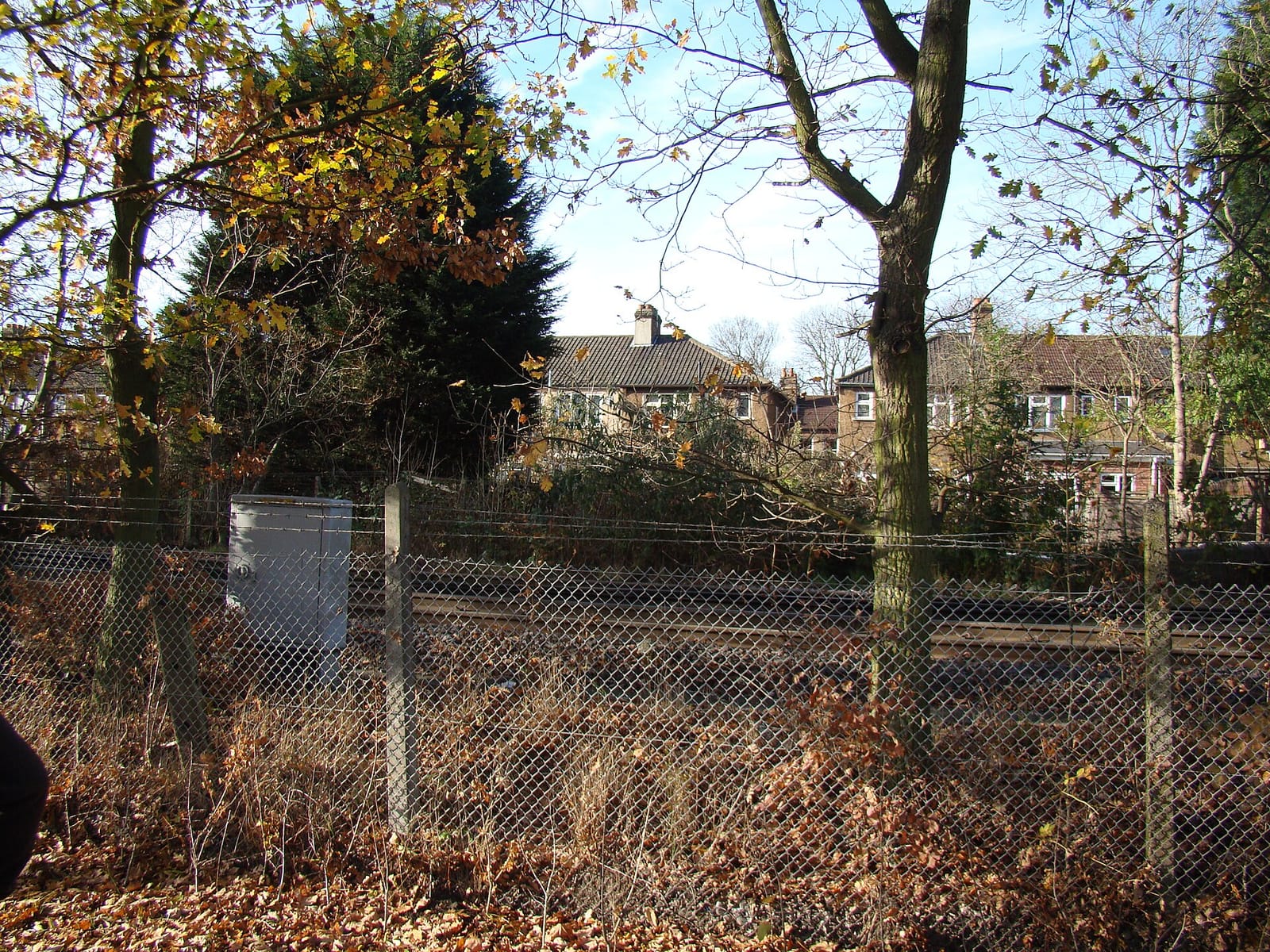 Fields Cafe photo 3