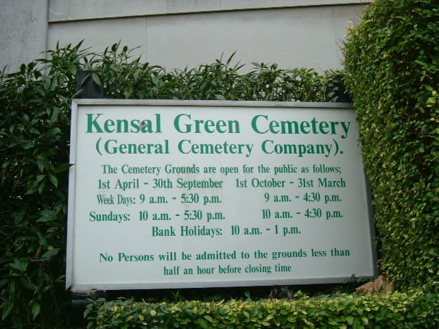 Vicki's photo 4