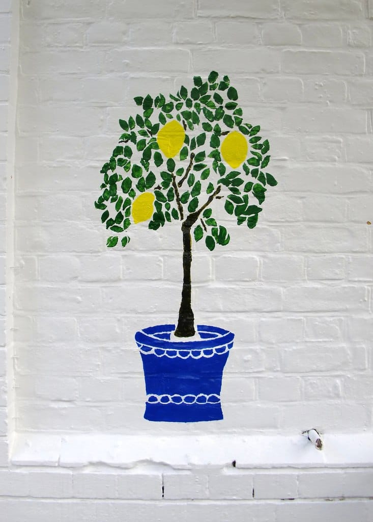 Harris + Hoole photo 4