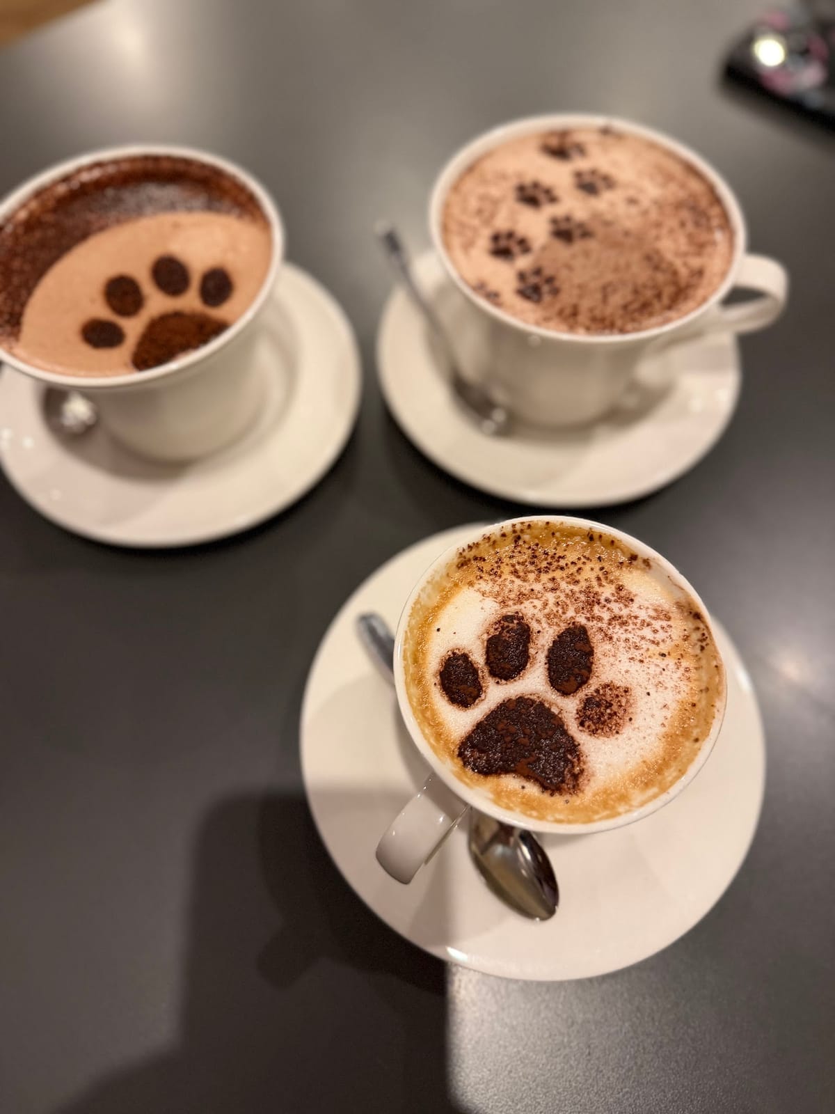 Whiskers & Cream Cat Cafe