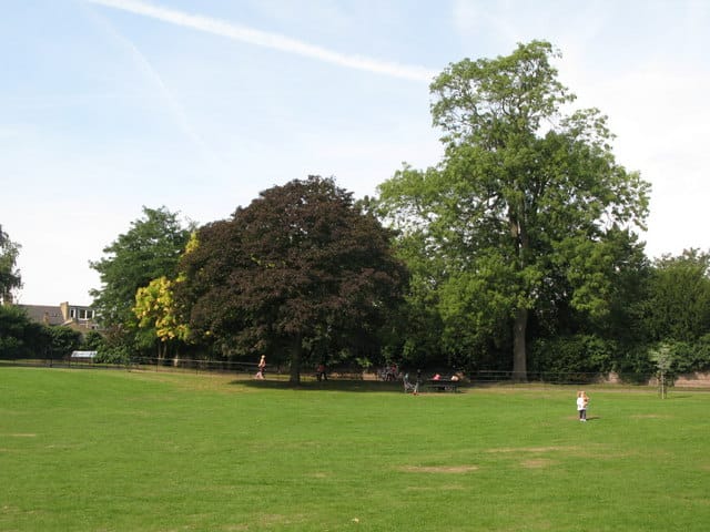 Pistachios In The Park photo 3
