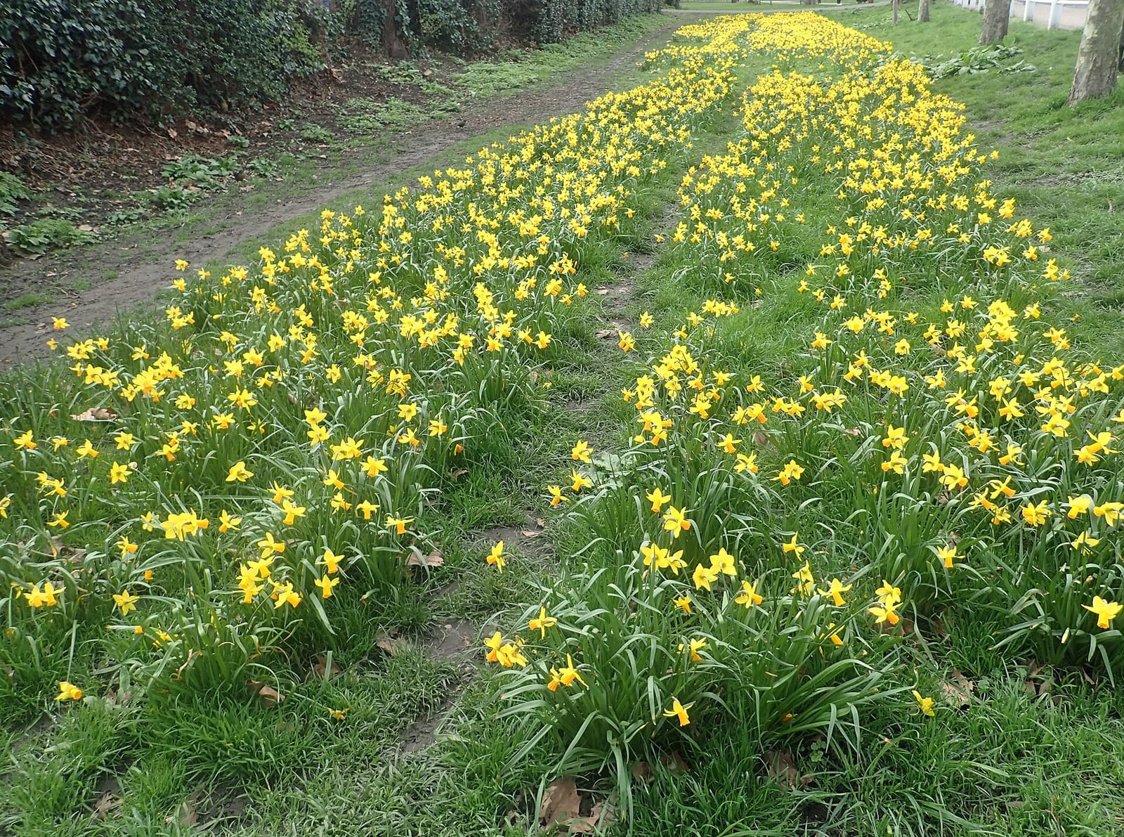 GAIL's photo 2