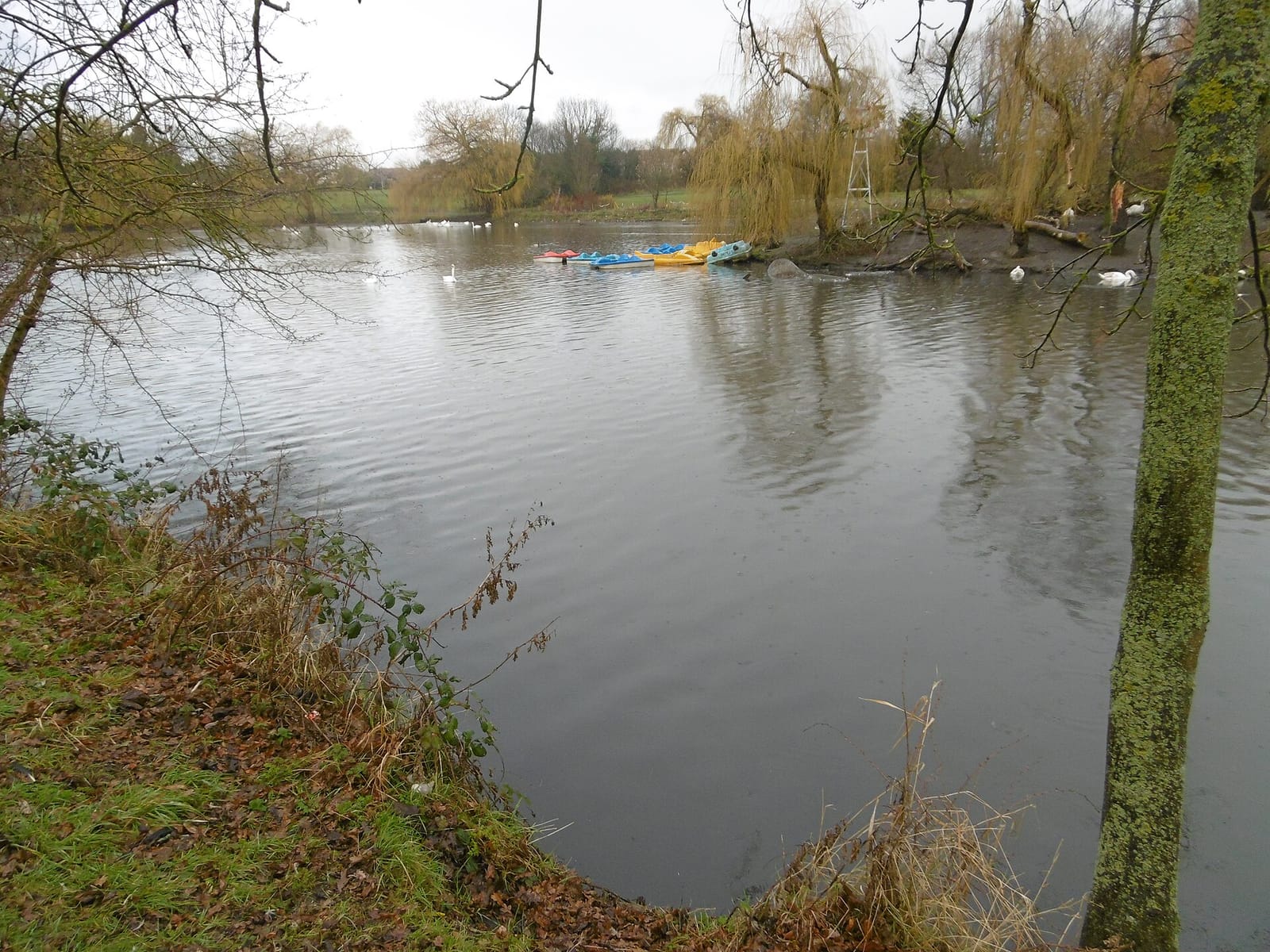 Lakeview Palace photo 2