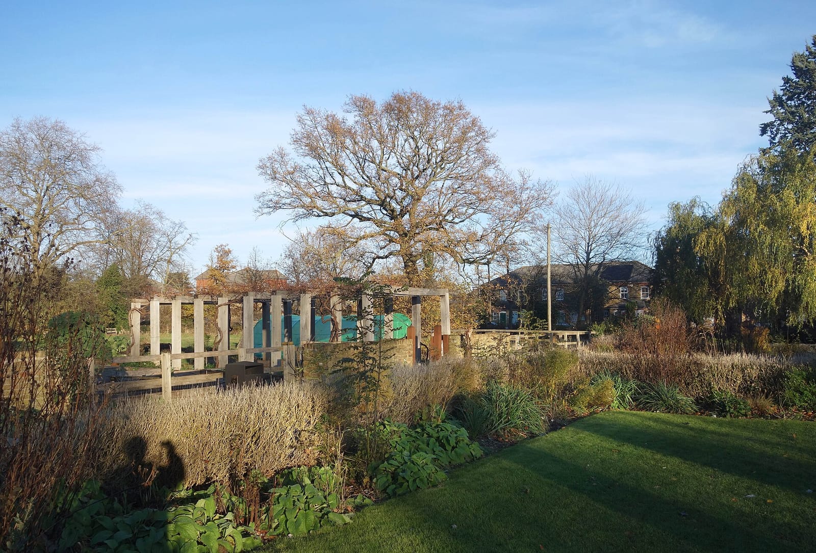 Mountsfield Park Cafe photo 3
