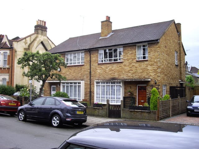 Piptree photo 4