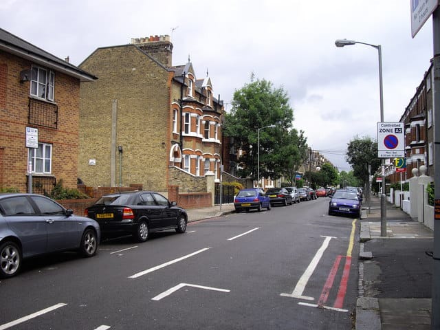Piptree photo 5