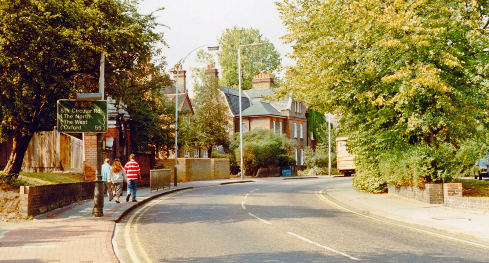 Piptree photo 3