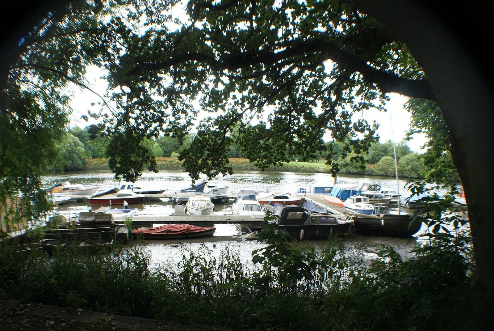 Orleans Garden Cafe photo 3