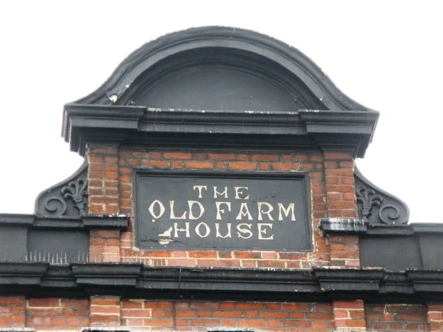 The Good Mews photo 4