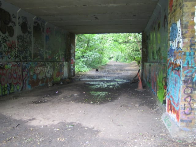 Merro photo 3