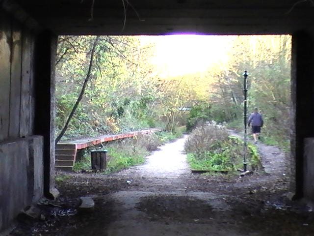 Merro photo 4