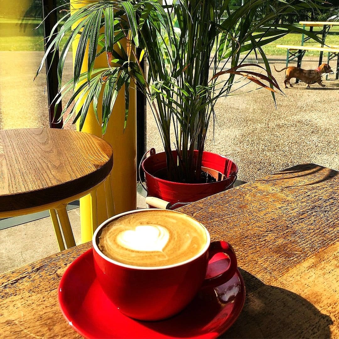 The Hub Cafe photo 2