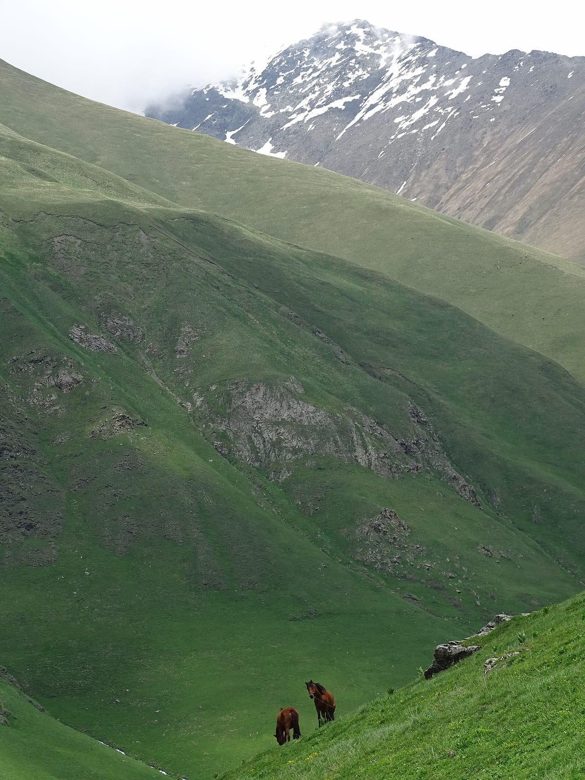 Café Rakursi photo 3
