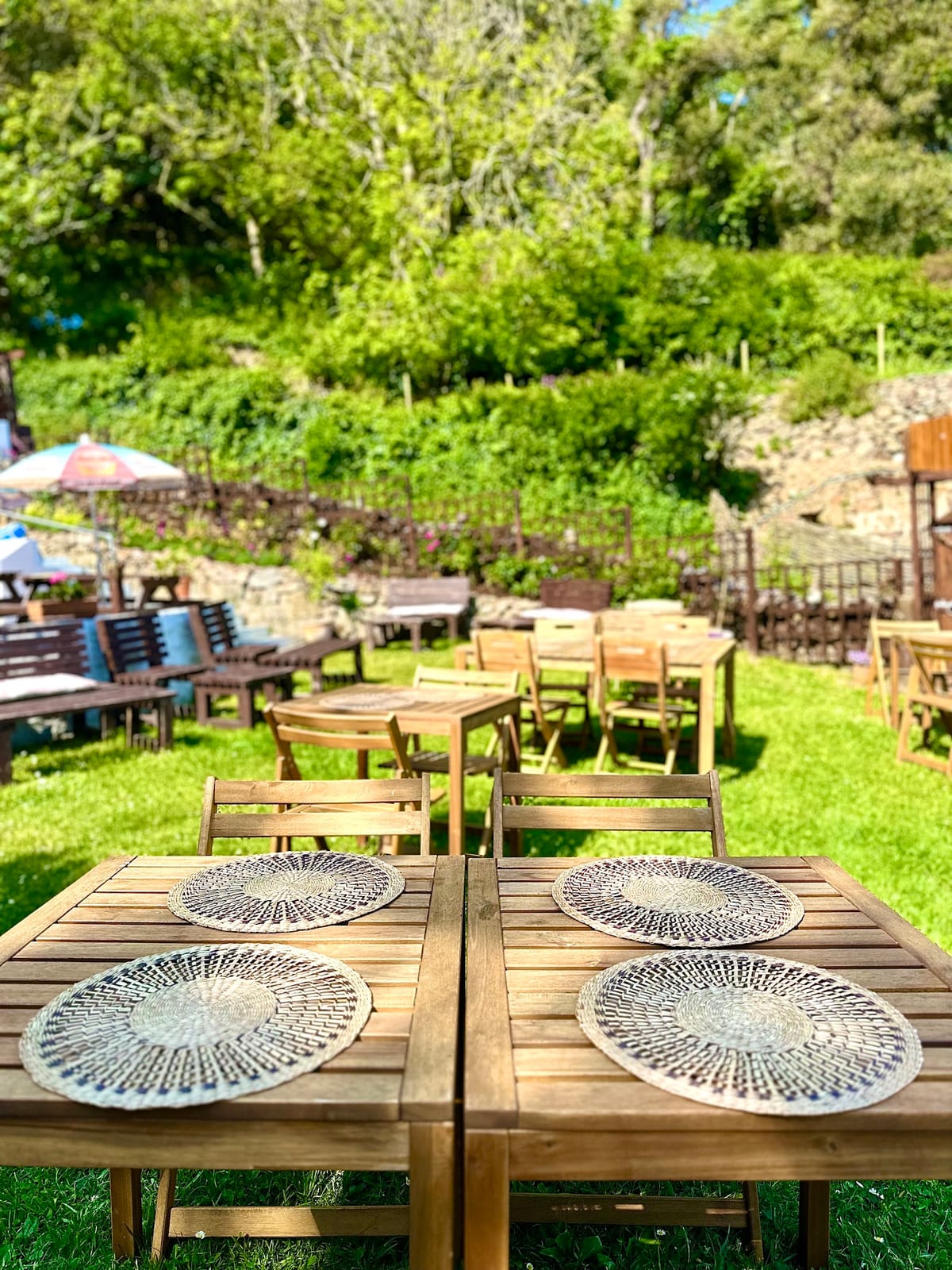 Renoir Tea Garden