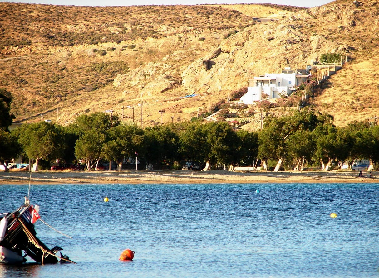 Skipper