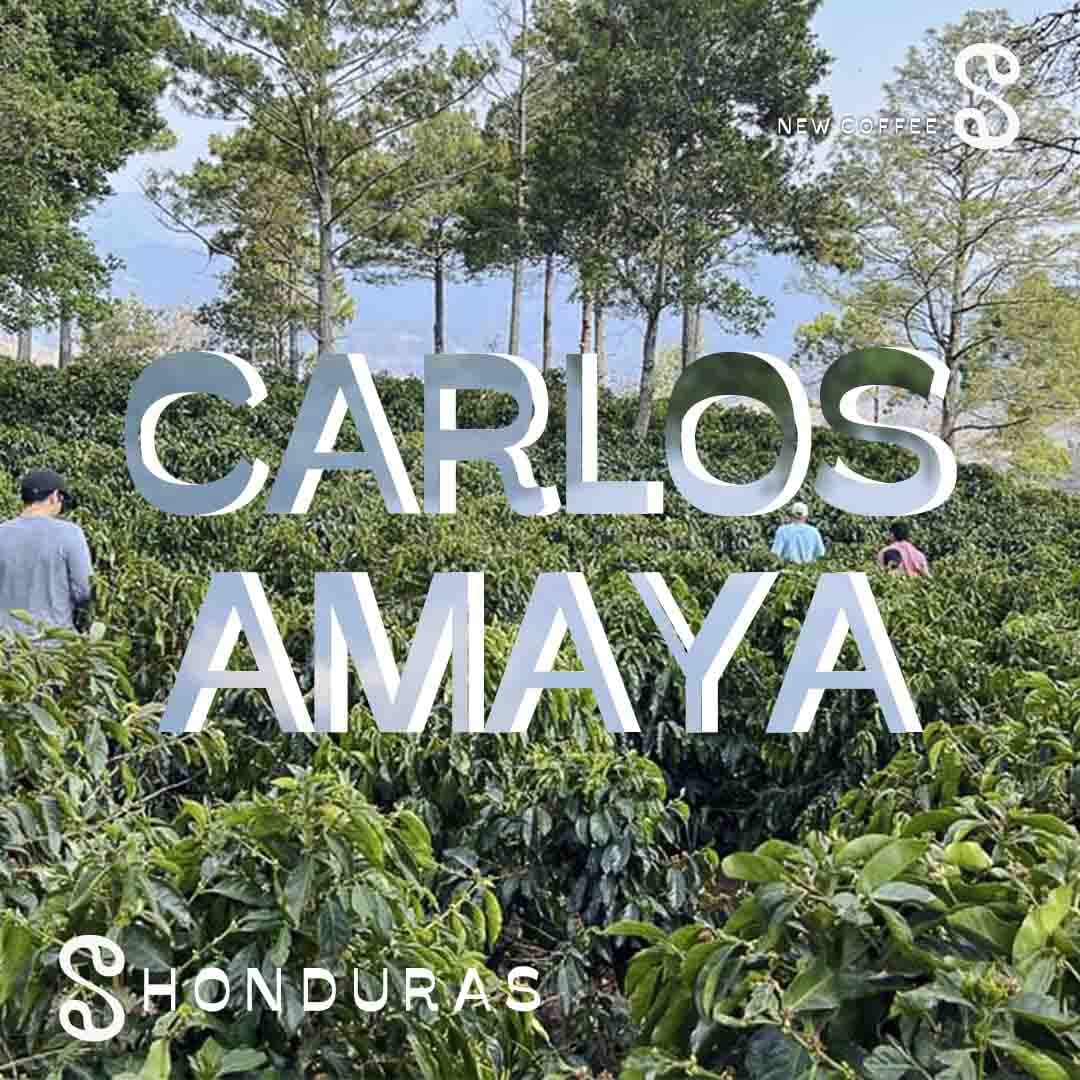 Samba Coffee Roasters