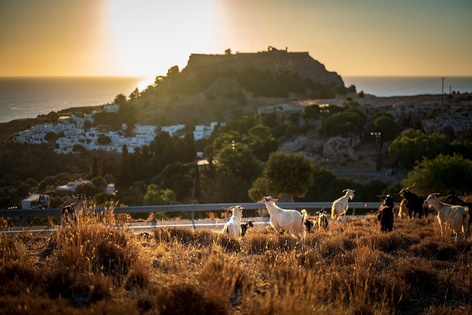 Lindos View photo 3