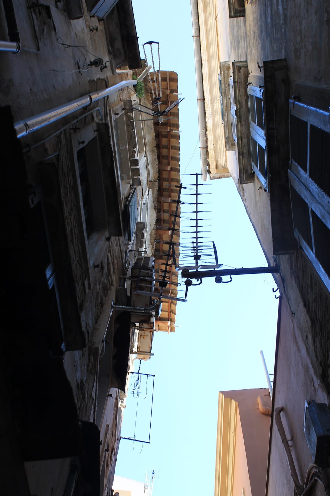Cafetierra photo 2
