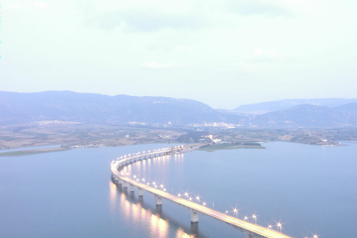 Ostria photo 2