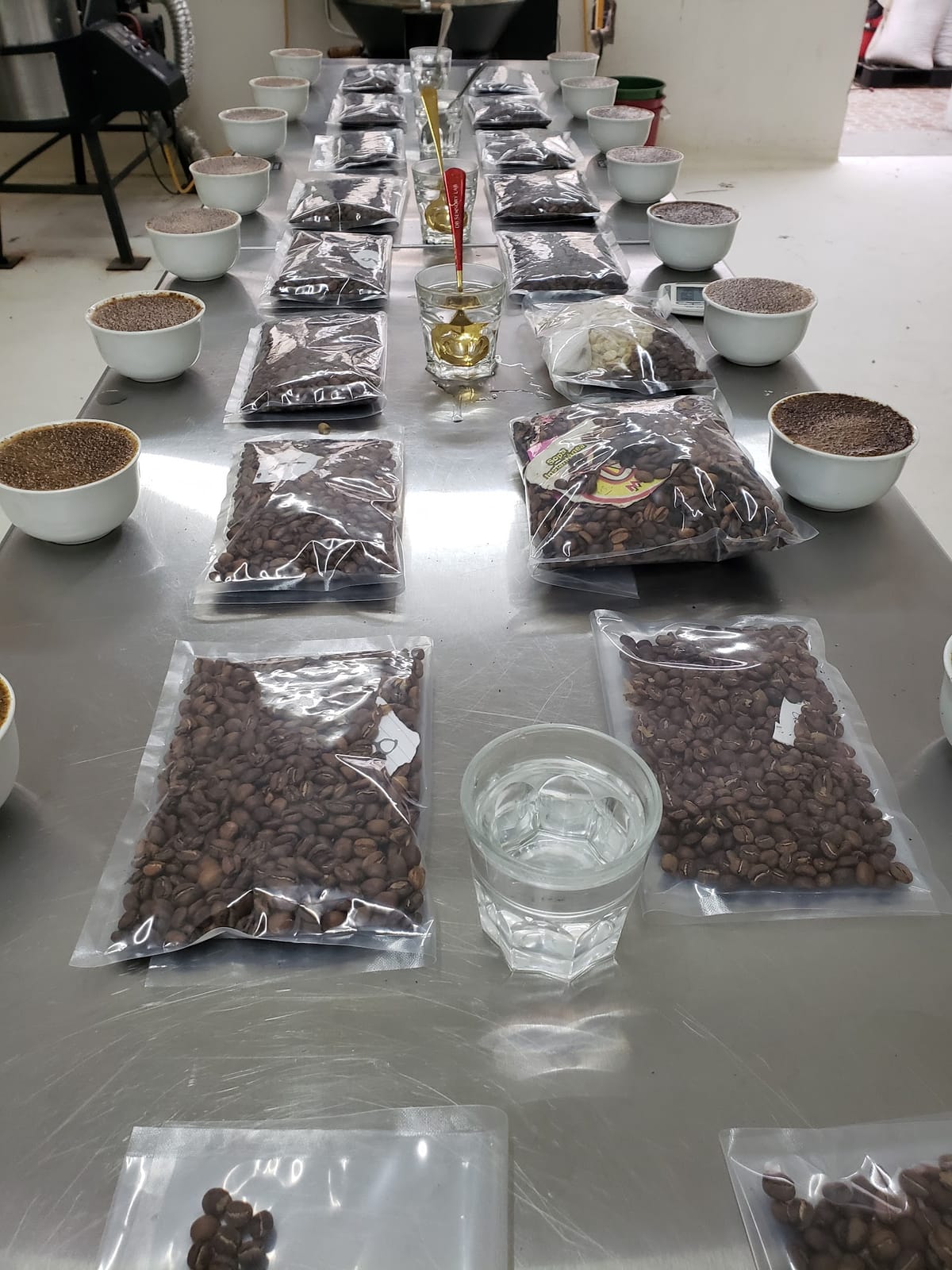 Finca Gascón Specialty Coffee