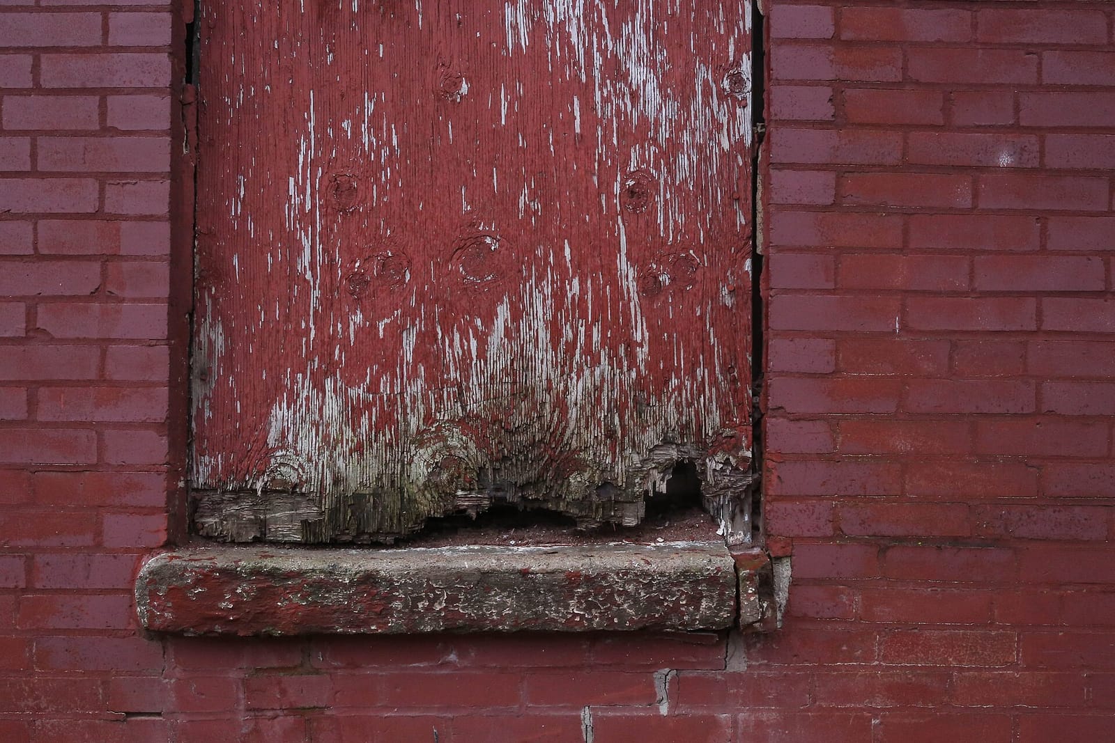 The mud house photo 2