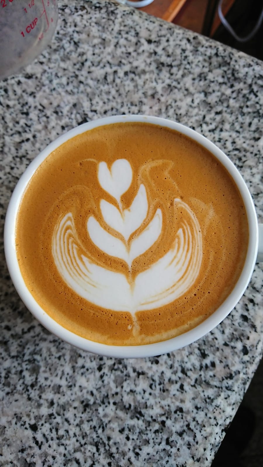 Grano de Cafe